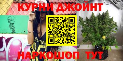 гашик Можайск
