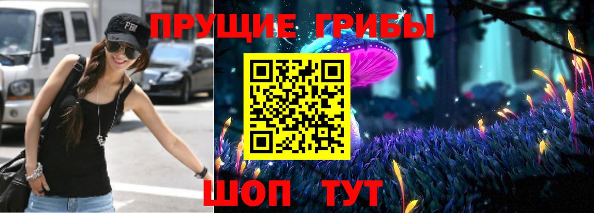 Галлюциногенные грибы Psilocybe Ханты-Мансийск